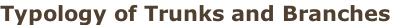Typology of Trunks and Branches
